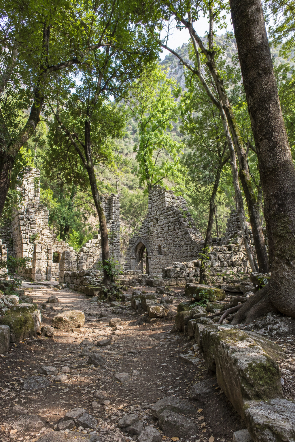 Olympos Ancient City